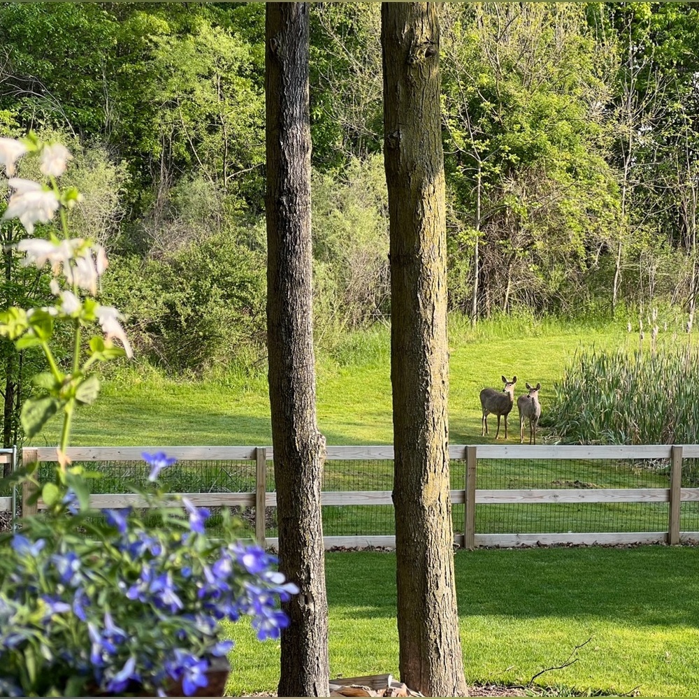 Meet your Posher, Tammy